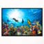 « corail en corail avec poissons », photo encadrée sur toile-26663841