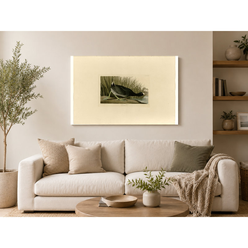 Foulque américaine, plaque CCXXXIX (1836) - art mural sur toile paysage, 14" W x 11" H