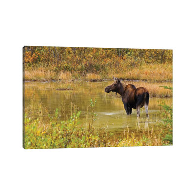 Canada, Alberta, Kananaskis Country by Jaynes Gallery - Wrapped Canvas Print
