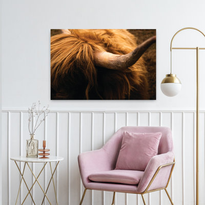 Highland Horn III Contemporary Cow Art