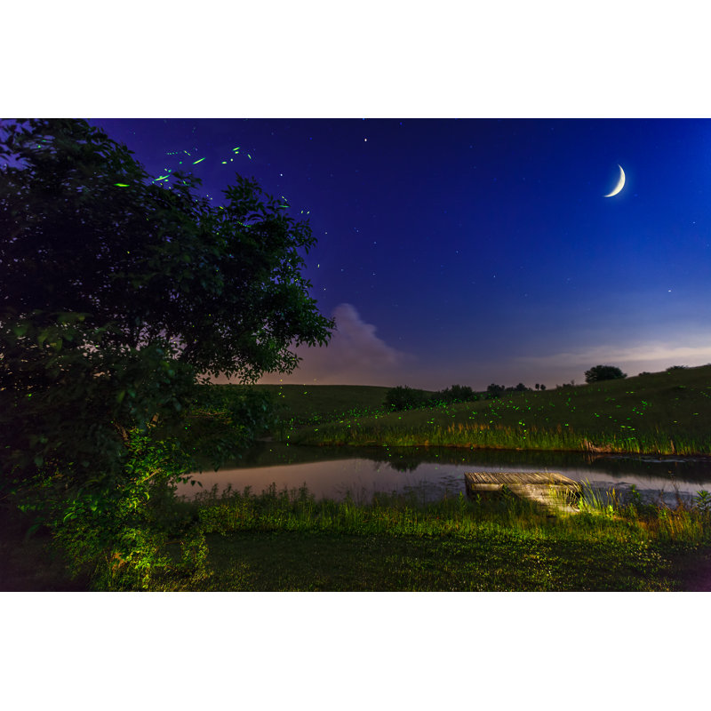 Lightning Bugs - Photographie sur toile tendue, H 8 po x l 12 po