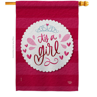 Drapeau de maison 40 po x 28 po It's a Girl
