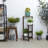 Jahquel Weather Resistant Plant Stand-317066134