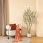 Adcock Artificial Olive Tree in White Planter-823635903