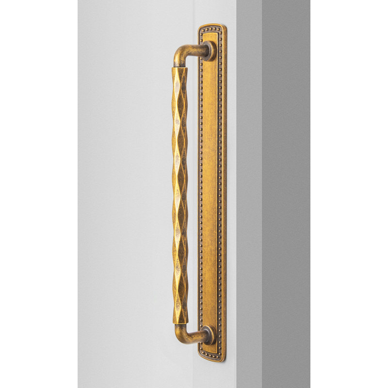 Cut-Section Design Bar Pull With Backplate-G018