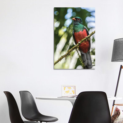 Costa Rica, La Selva Biological Station by Jaynes Gallery - Wrapped Canvas Gallery-Wrapped Canvas Giclée