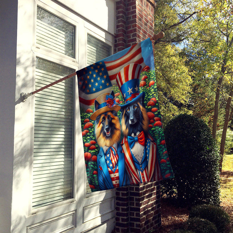 Drapeau «All American House», Berger de Tervueren