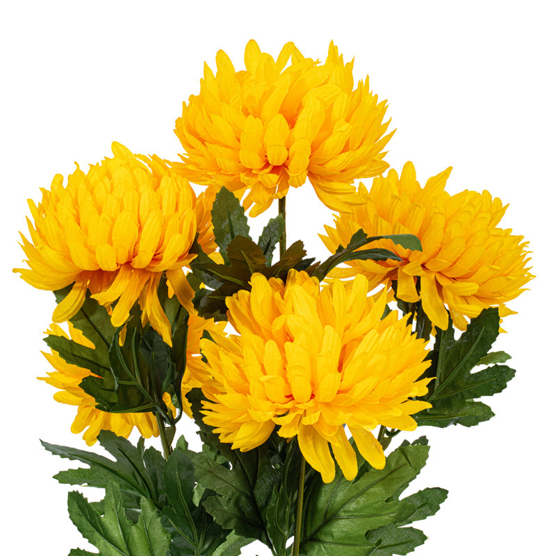 Tige de maman, Jaune