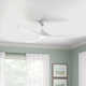 Franny 3 Blade Ceiling Fan with LED Light Kit