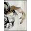Neutral Brushes 2 Print
