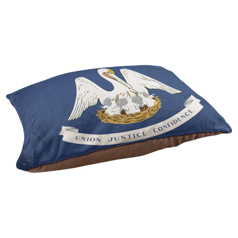 Coussin stylisé louisiana flag Burien, L 19,5 po x l 29,5 po, Marron foncé