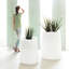 Ulm Plastic Pot Planter-49041573-49041583