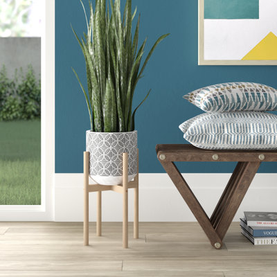 Akosua Handmade Pot Planter