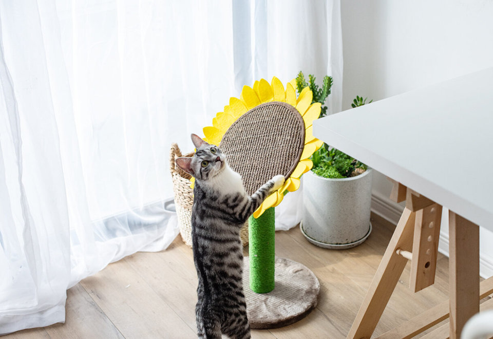 Stylish, Eco-Friendly Cat Scratchers
