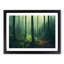 An Enviable Forest - Framed Print-1928165252-1928165275