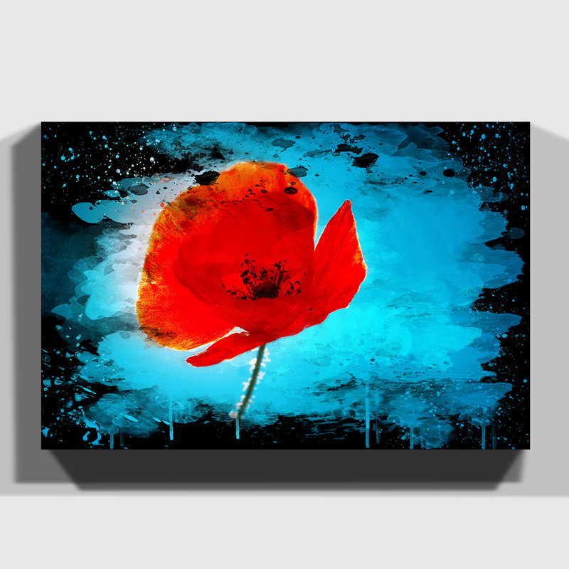 Red Poppy Flower 1 - Wrapped Canvas, 50cm H x 76cm W