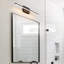 Dimmable LED Aluminum Wall Mounted Picture Light