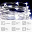 LED Indoor / Outdoor String Lights-1831493384-1831493394