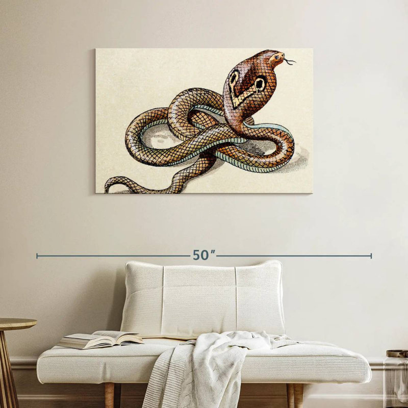 Brampt Indian Cobra, 26" H x 39" W