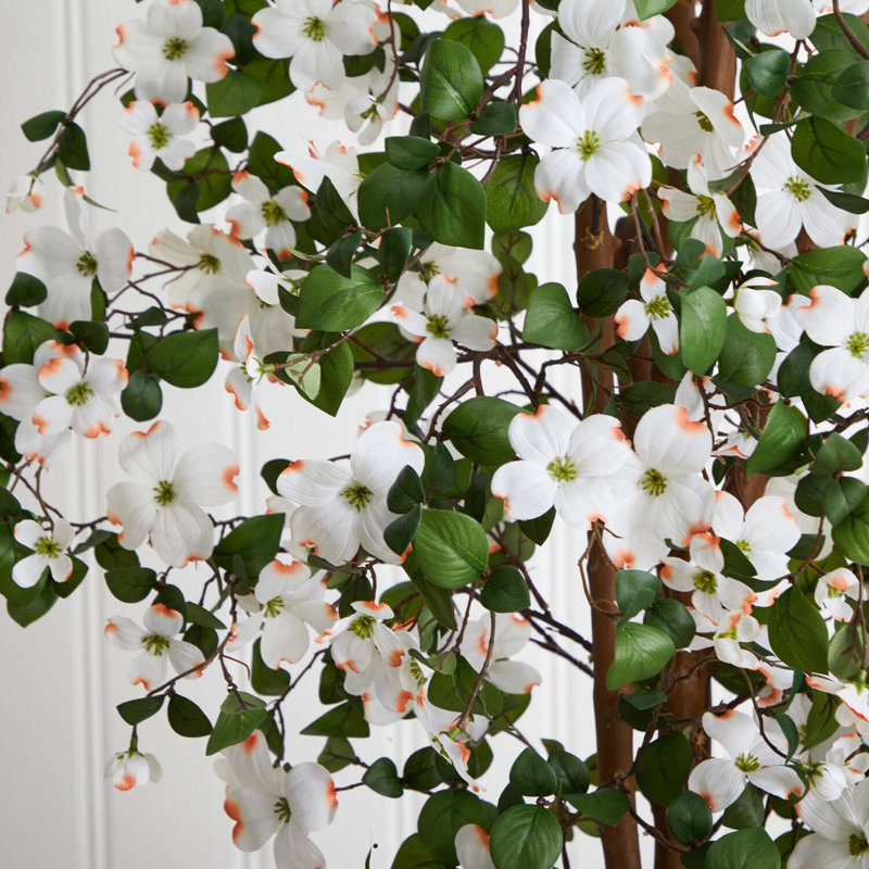  5ft. Dogwood Silk Tree
