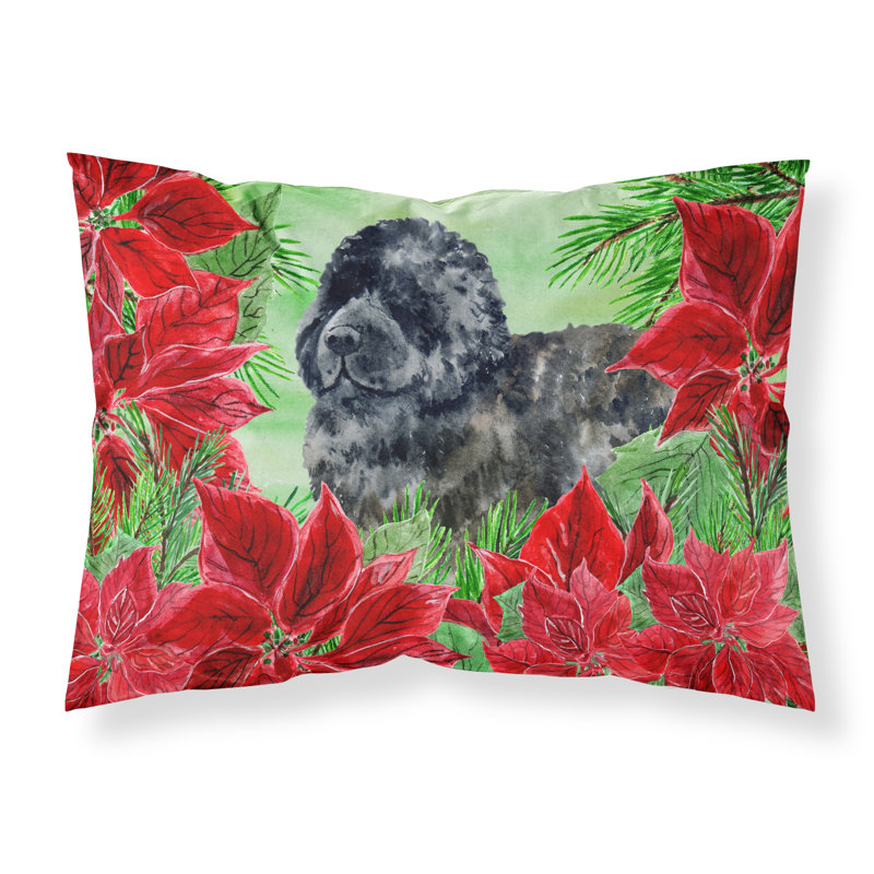 Microfiber, Newfoundland