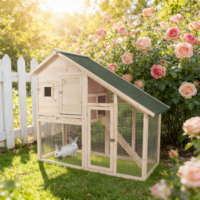 Cage à lapin, cage à lapin résistante aux intempéries, maison pour animaux spacieuse