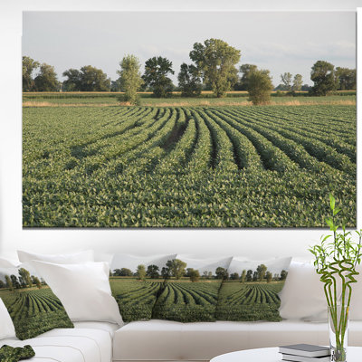 « wisconsin soja field rows », reproduction de photo sur toile