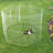 Chavey Universal Small Animal Playpen