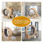 Roue d'exercice 6-en-1 pour chat en bois avec tapis roulant silencieux, grande roue de course intérieure pour chat et tour de mobilier à plusieurs niveaux