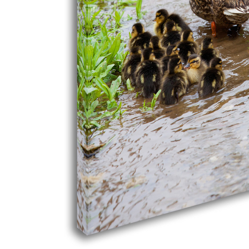 Baby Duck Family on Canvas Art in Light Brown Frame
