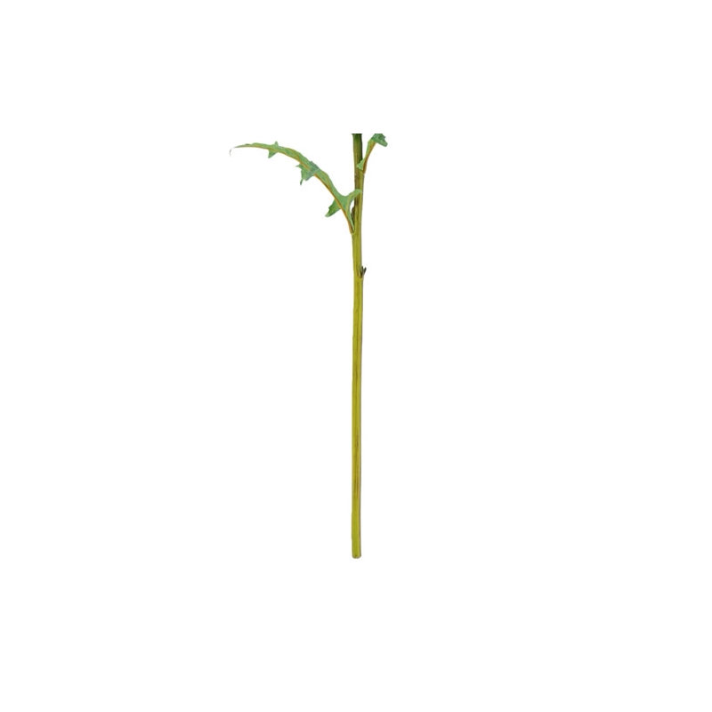 25" Artificial Purple Artichoke Stems