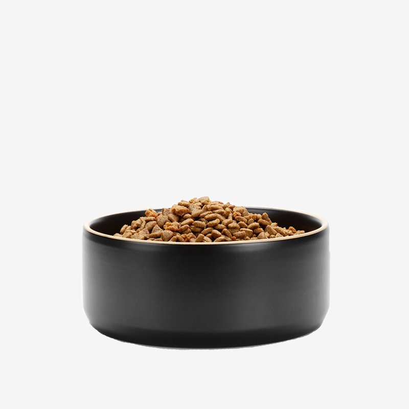 Edge Ceramic Dog Bowl, Black, Medium (4 Cups)