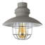 Penglai 26.5cm H Metal Novelty Pendant Shade ( Spider )-28711939-28711940