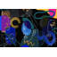 Boho Expressions 535 - Impression sur toile tendue-1508627837