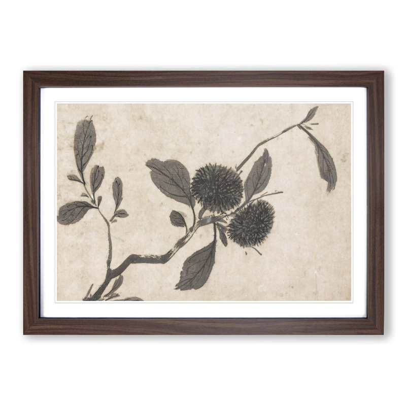 Branch of a Fruit Tree by Shen Zhou - Picture Frame Painting Print, Walnut Framed, 27cm H x 36cm W x 2cm D