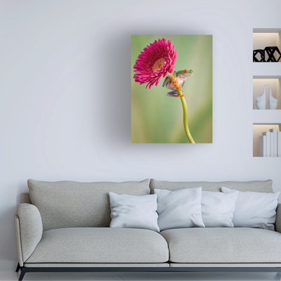 Bolog Cheryl Schneider Lookout Canvas Art