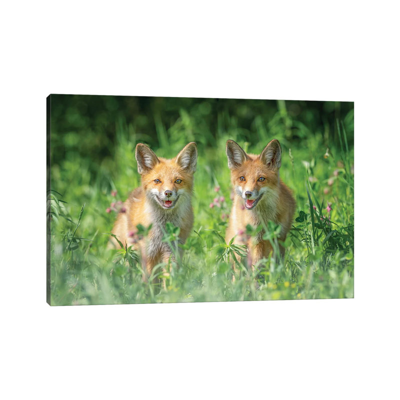 Brothers by Larry Deng - Wrapped Canvas Print, 66.04 cm H x 45.72 cm W x 1.91 cm D