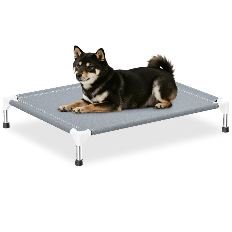  Lit pour chien surélevé surélevé en acier inoxydable pour l'extérieur et l'intérieur, gris (moyen), Médium
