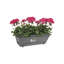 Barcelona Railing Planter-70005267