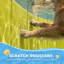 20cm H x 80cm W x 80cm D Dog Pool