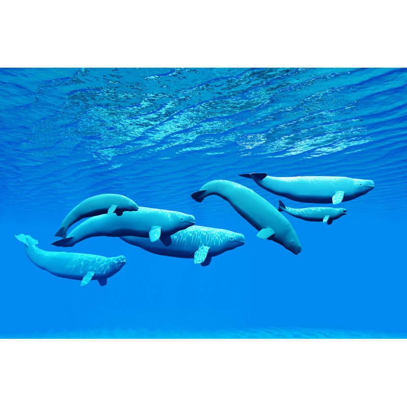 Beluga Whale Pod - Wrapped Canvas Print, 20cm H x 30cm W x 3.8cm D