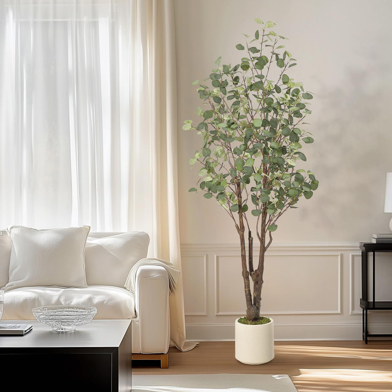 Eucalyptus d'intérieur d'intérieur, H 72 po x l 7 po x P 7 po