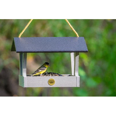 Mangeoire à oiseaux suspendue à la volée Modern Birdhouse Choice
