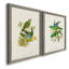 Toile encadrée «Lime & Cerulean Parrots I-Premium» - prête à être accrochée-1425164967-1425164966