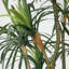 Arbre de dragon artificiel en pot 95 "