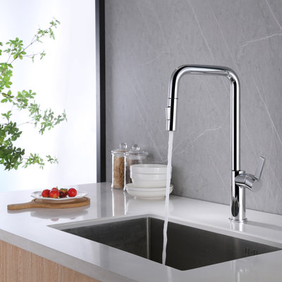 Belfry Kitchen Whitchurch Pull Out Kitchen Faucet