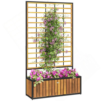 Lit de jardin surélevé en bois avec treillis