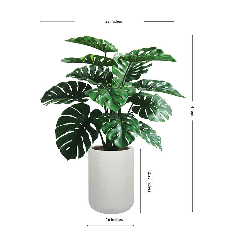 TREE MONSTERA POT 4FT