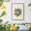 Chlorophylle II-800198874-800198873