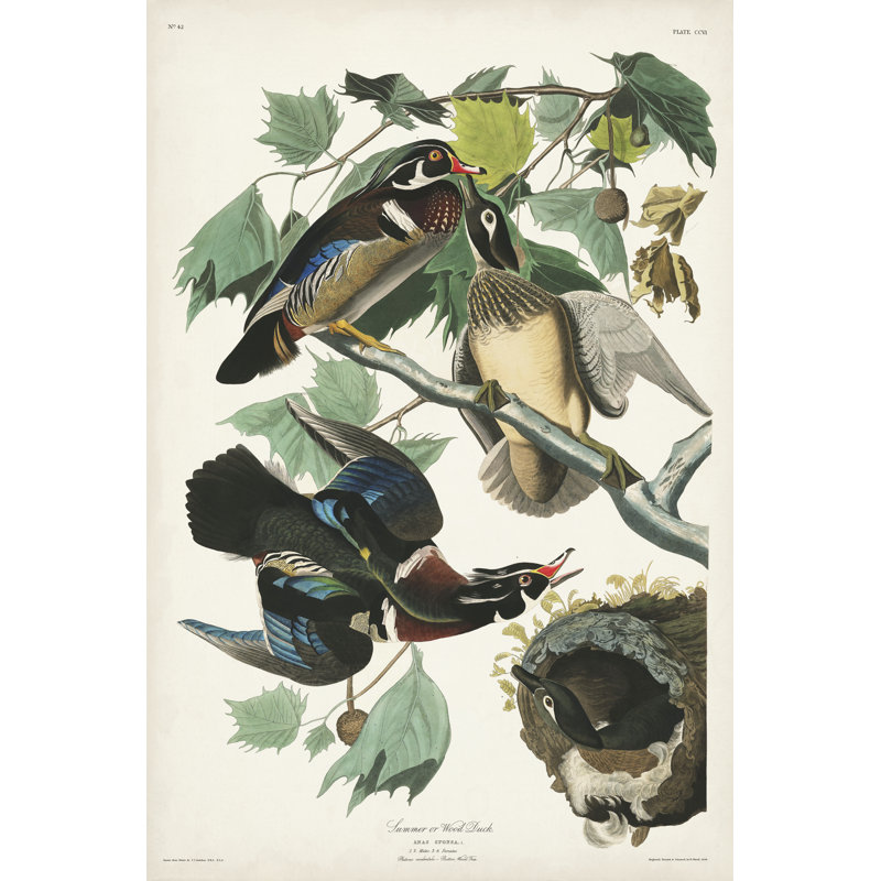 Canard en bois PL206, H 18 po x l 12 po